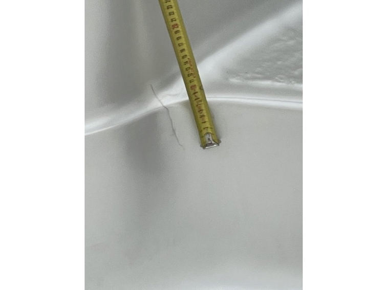 Mollus XXL - 8235