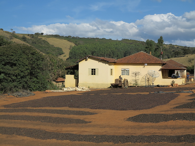 Zrnková káva CASCAVEL VERMELHA (Brazílie)