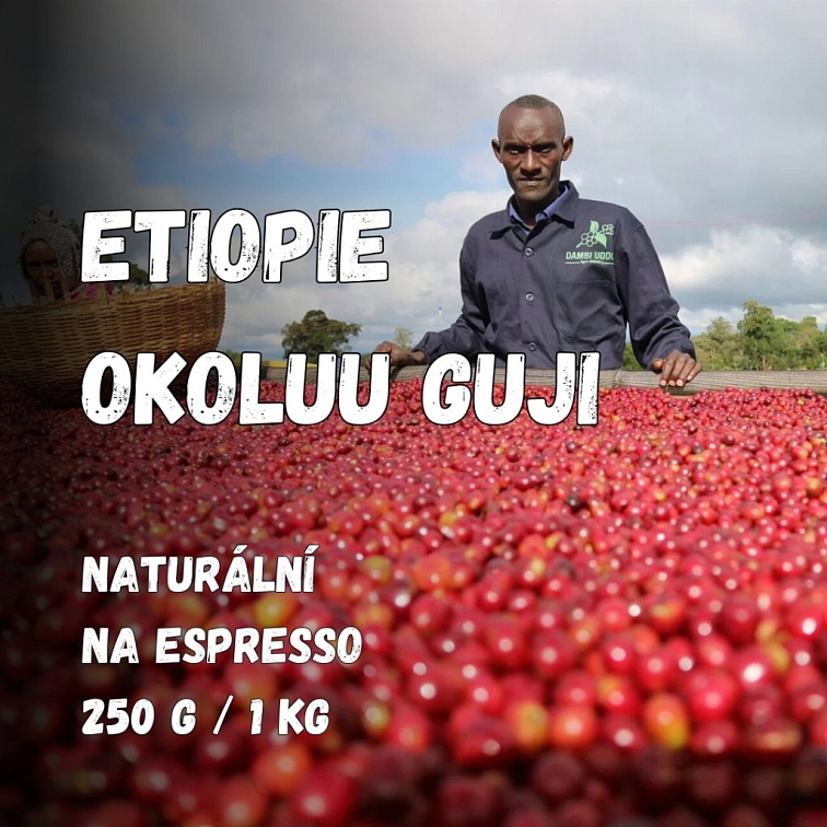 Zrnková káva OKOLUU GUJI (Etiopie)
