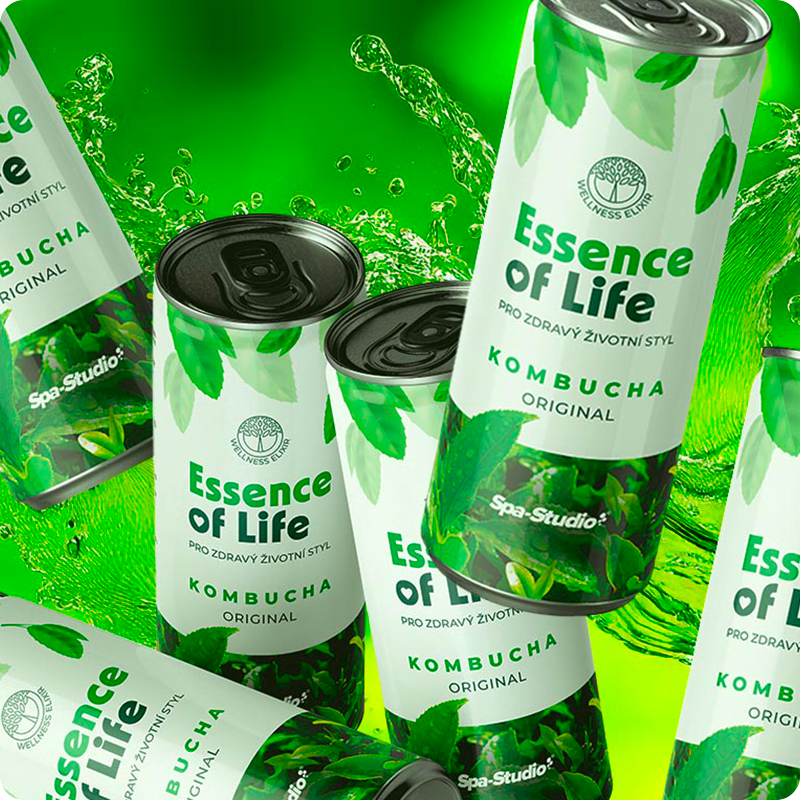 Essence of life - KOMBUCHA ORIGINAL 6PACK