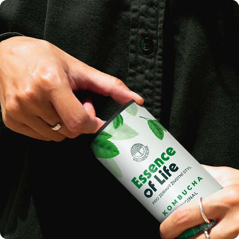 Essence of life - KOMBUCHA ORIGINAL 6PACK