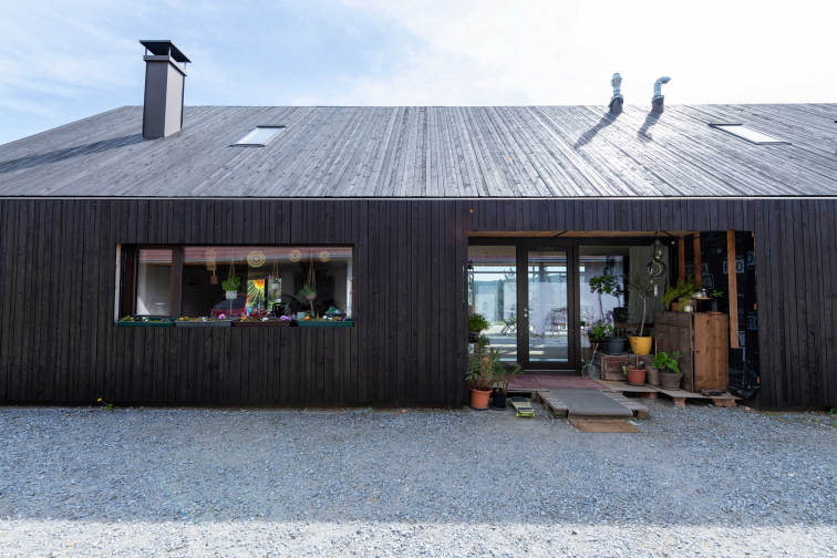 Smrkový obklad BLACK DAHLIA