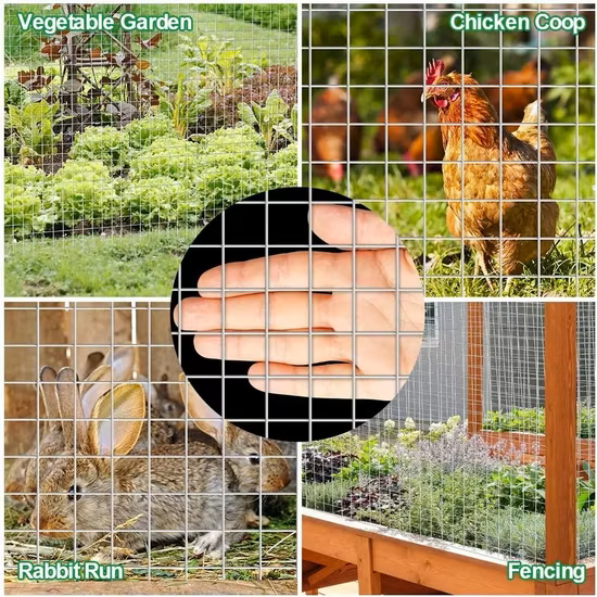 Chovatelská svařovaná síť poplastovaná (Zn + PVC) - oko 19 × 19 mm 1000 mm