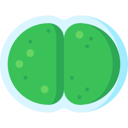 Spirulina 250g (500 tabliet)