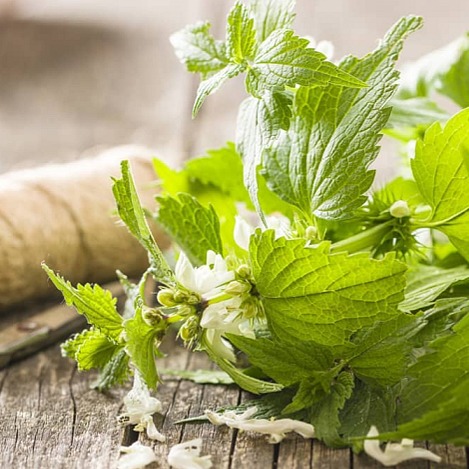 Insight Volume Up Hydrating Spray - hydratační sprej pro objem vlasů 100 ml