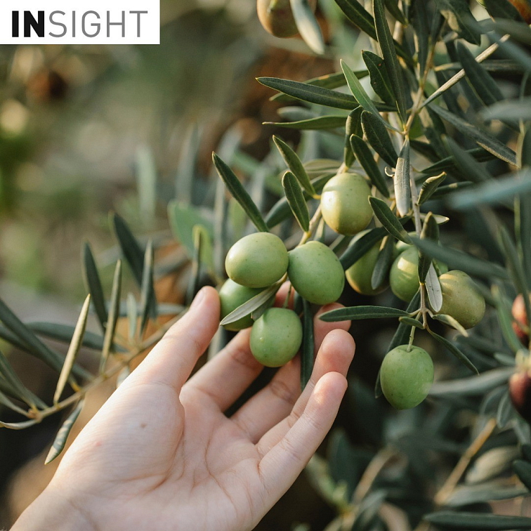 Insight Damaged Restructurizing Shampoo - šampon pro poškozené vlasy