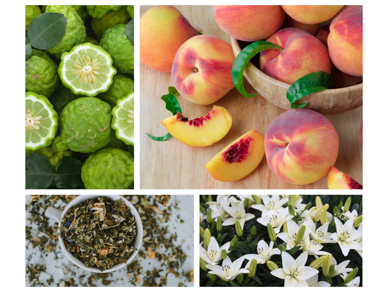 INTERIÉROVÝ SPREJ BÍLÝ ČAJ