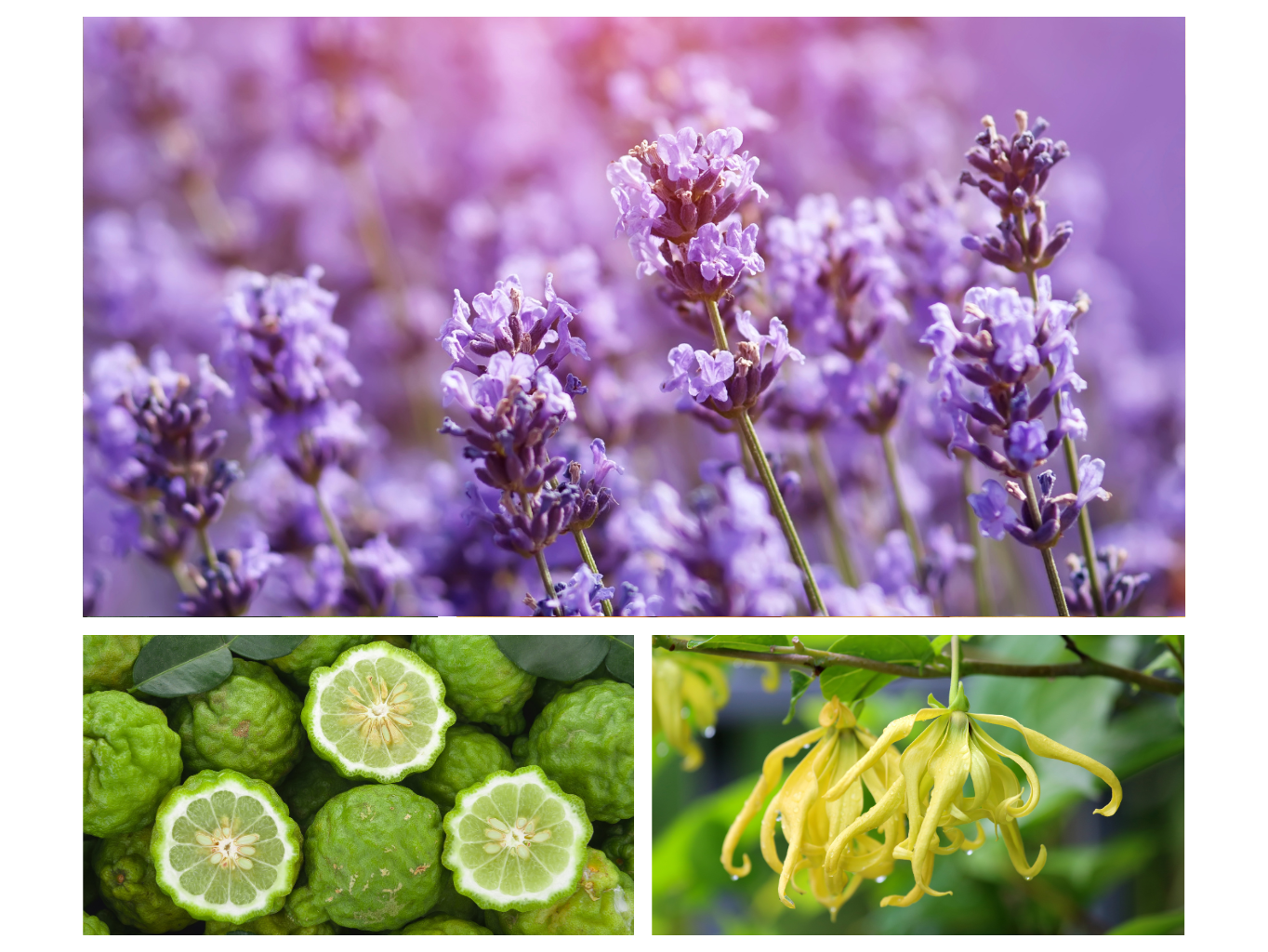 INTERIÉROVÝ SPREJ DOBRÁ NÁLADA