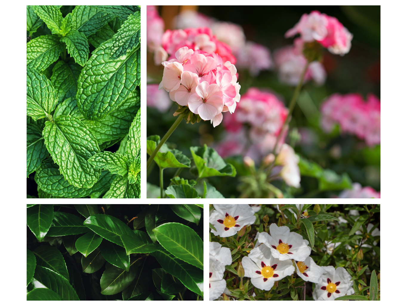 INTERIÉROVÝ SPREJ BEZBZZ