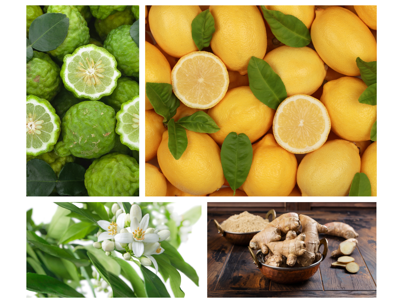 INTERIÉROVÝ SPREJ SVĚŽEST