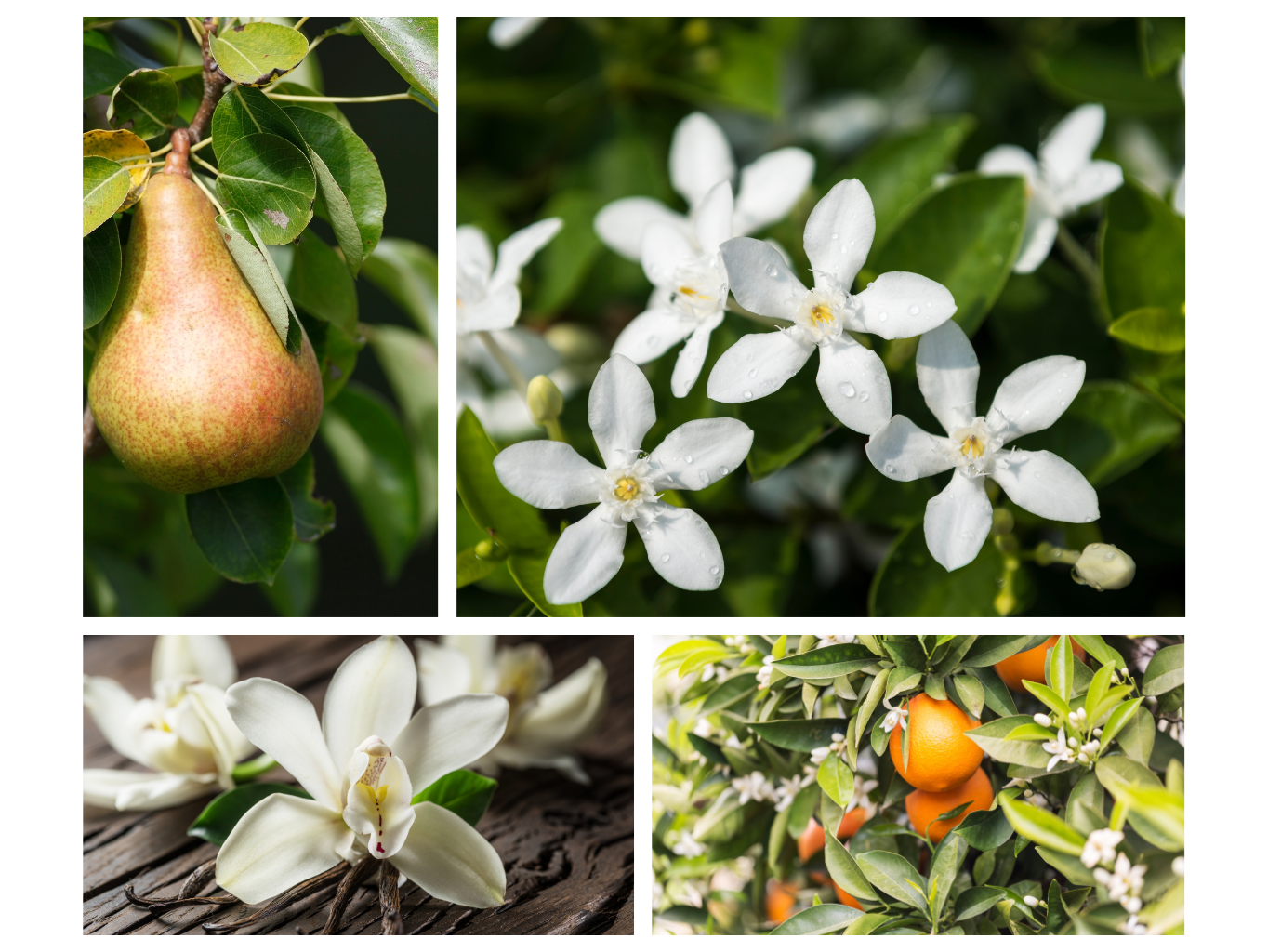 INTERIÉROVÝ SPREJ BOHYNĚ