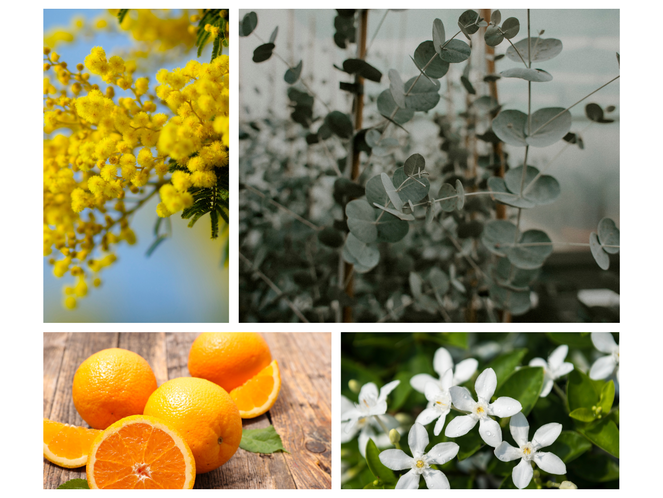 INTERIÉROVÝ SPREJ ŠUMAVÁNKA