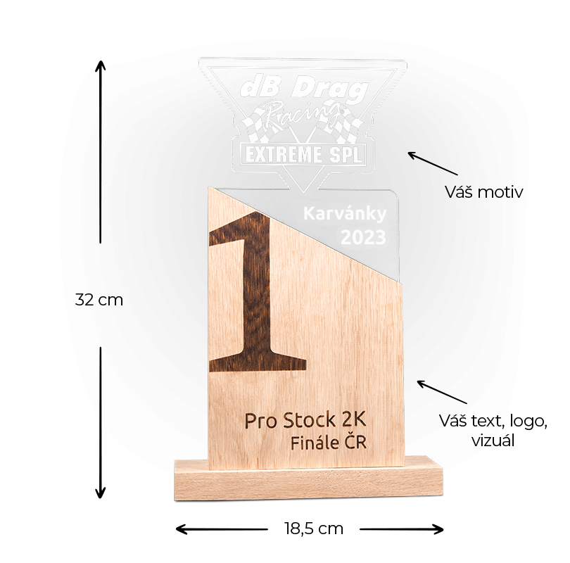 Masivní trofej / pohár s akrylátem: Nevada