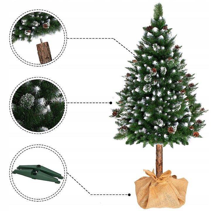 Vánoční stromek Borovice stříbrná s koblihami na pníku, 220 cm
