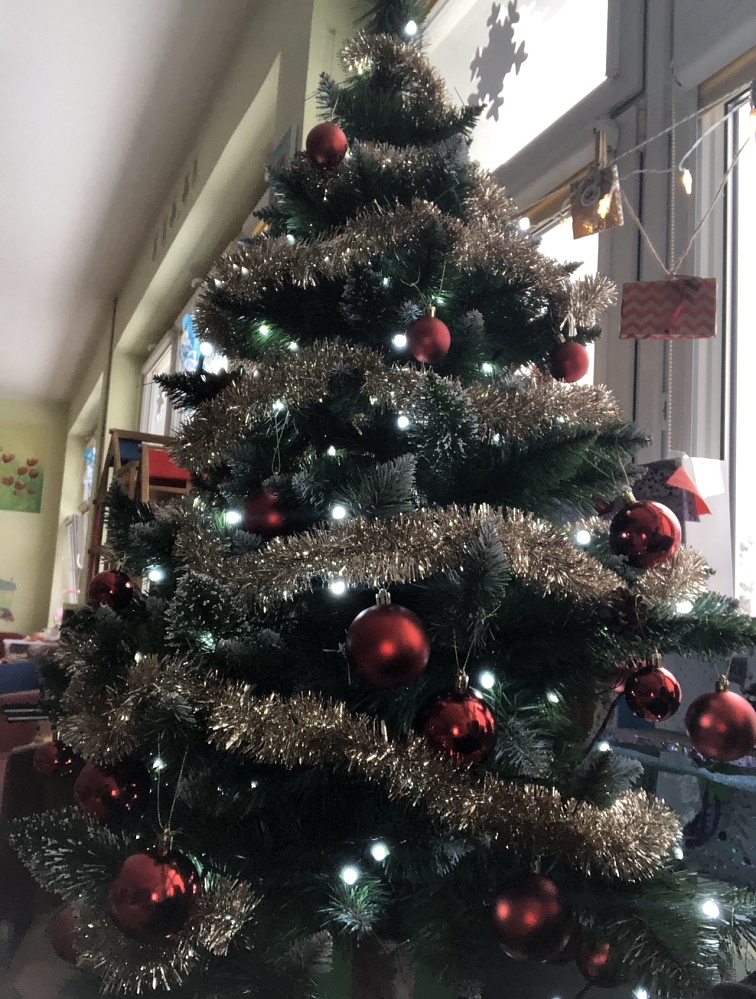Vánoční stromek Borovice stříbrná s koblihami na pníku, 190 cm