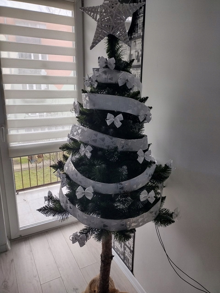 Vánoční stromek Borovice stříbrná s koblihami na pníku, 220 cm