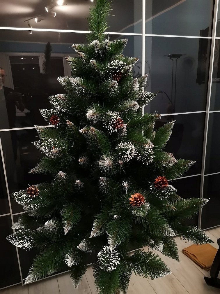 Vánoční stromek Borovice stříbrná s koblihami na pníku, 190 cm