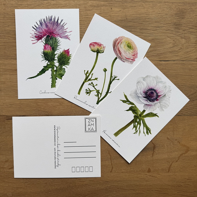 Pohlednice - Letní sada