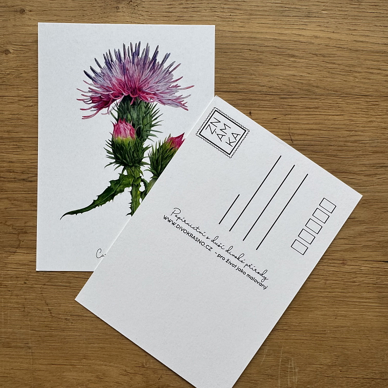 Pohlednice - Letní sada