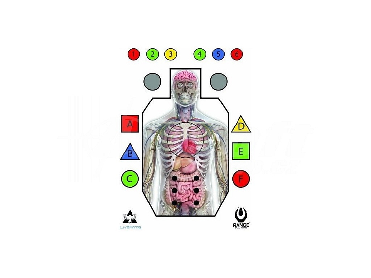 Střelecký terč “Postava” - 50ks, Range Solutions