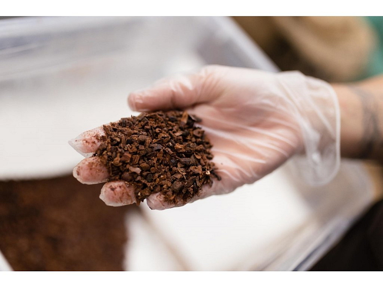 MOŘE VLN 2.0 - mléčná bean to bar čokoláda s kokosem, banánem a ananasem